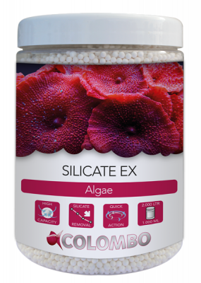 Silicate EX